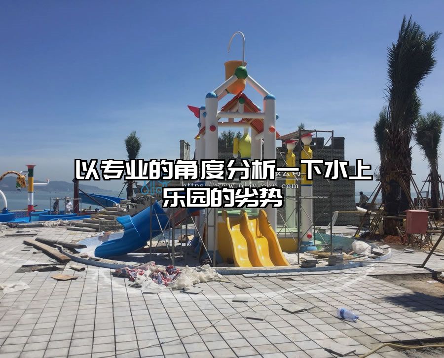 以專業(yè)的角度分析一下水上樂(lè)園的劣勢(shì)