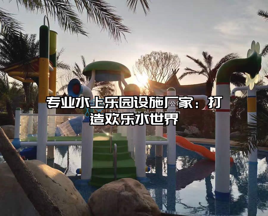 專業水上樂園設施廠家：打造歡樂水世界