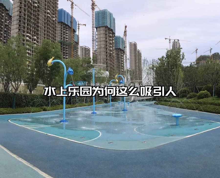 水上樂園為何這么吸引人