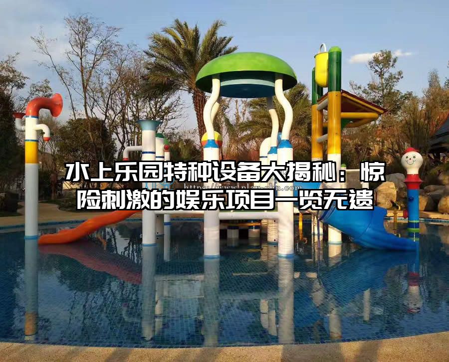 水上樂園特種設備大揭秘：驚險刺激的娛樂項目一覽無遺