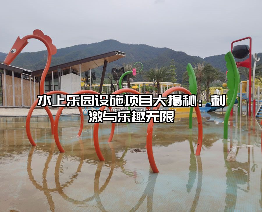 水上樂園設施項目大揭秘：刺激與樂趣無限